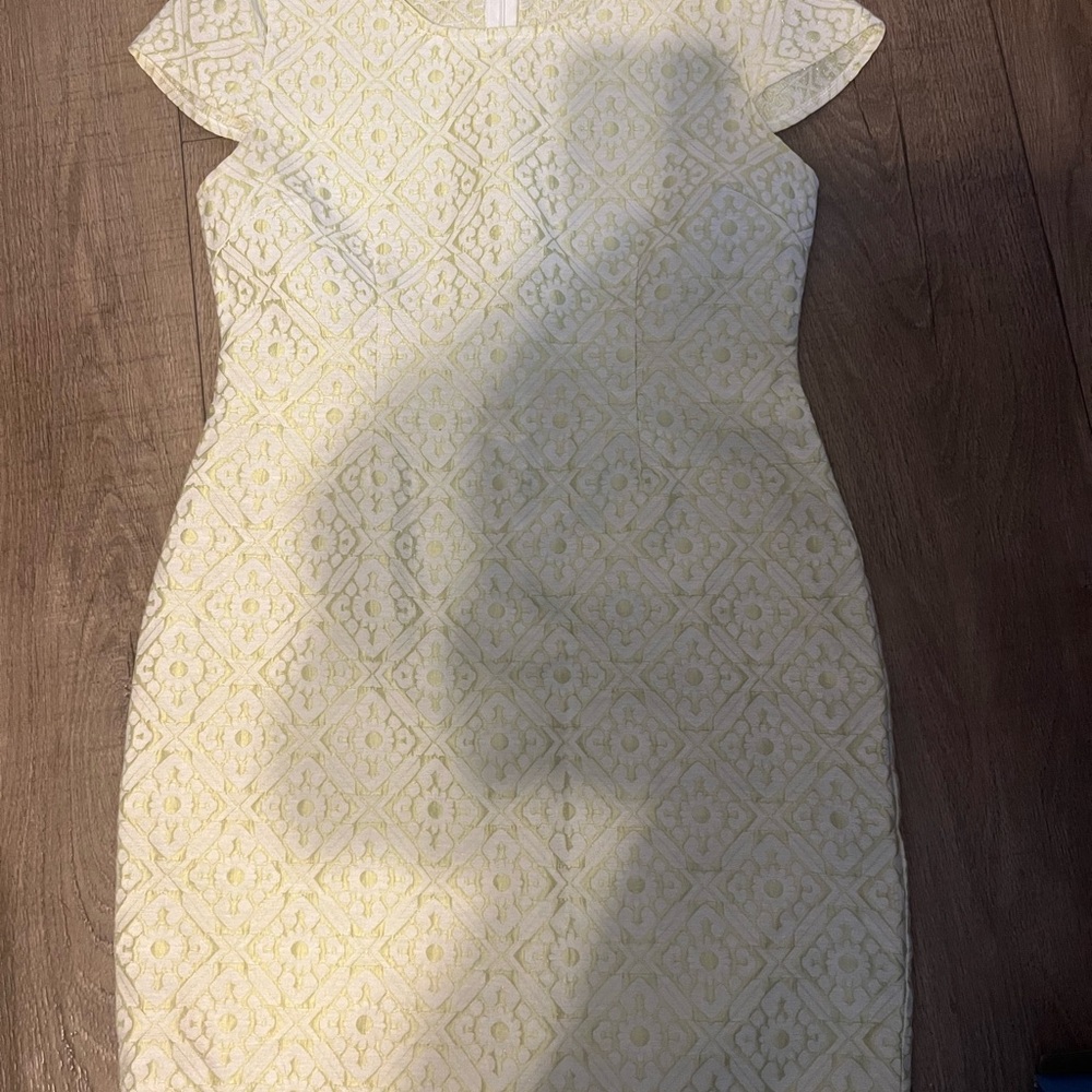 Tulle White and Lime Green Textured Sheath Dress